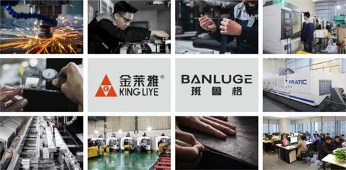 榮耀時(shí)刻！金萊雅與班魯格雙雙斬獲“2023首選供應(yīng)鏈品牌”大獎(jiǎng)，彰顯五金產(chǎn)品研發(fā)硬核實(shí)力